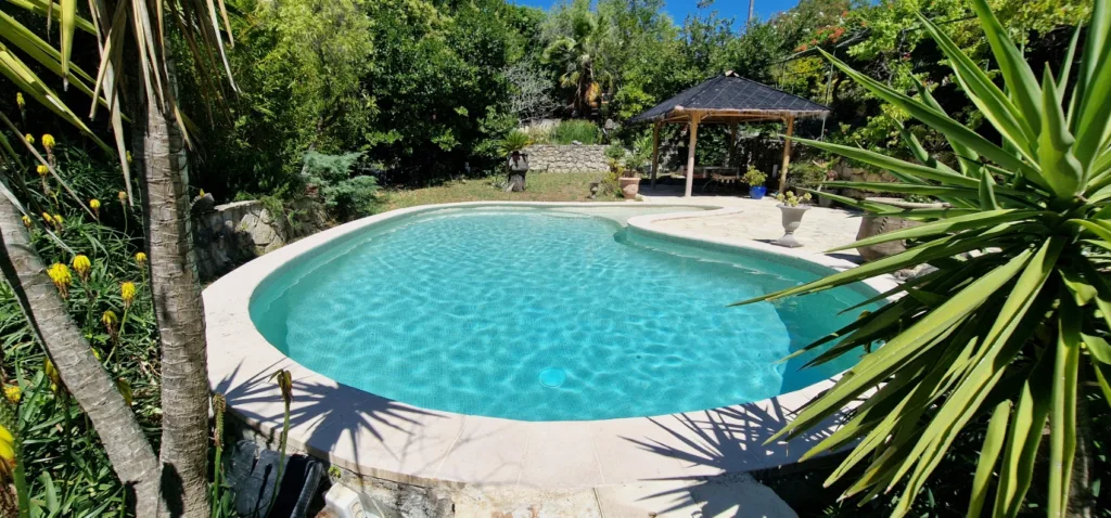 Piscine ovoïde de forme haricot vidée avant carrelage en mosaïque